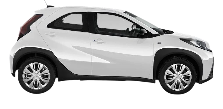 Véhicule société citadine